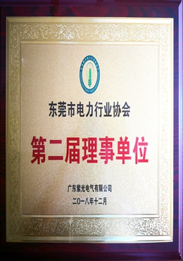 東莞市電力行業(yè)協(xié)會理事單位