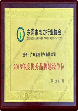 東莞市電力行業(yè)協(xié)會優(yōu)秀品牌建設(shè)單位